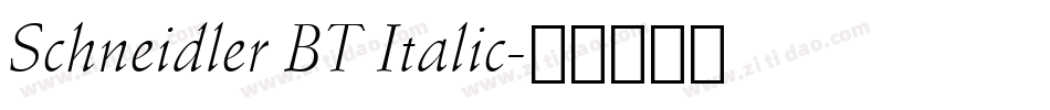 Schneidler BT Italic字体转换